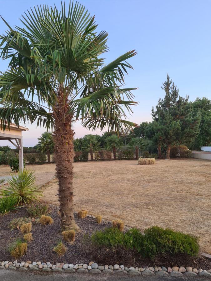 Ty Grain De Sel : Privatif Avec Piscine, Jardin Et Patio * Chauvé