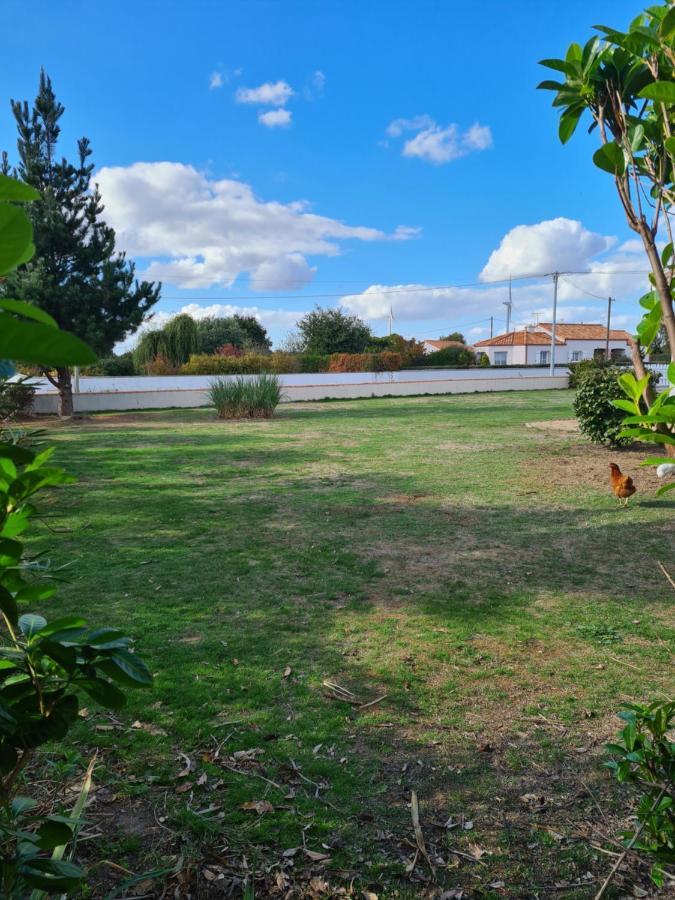 Ty Grain De Sel : Privatif Avec Piscine, Jardin Et Patio